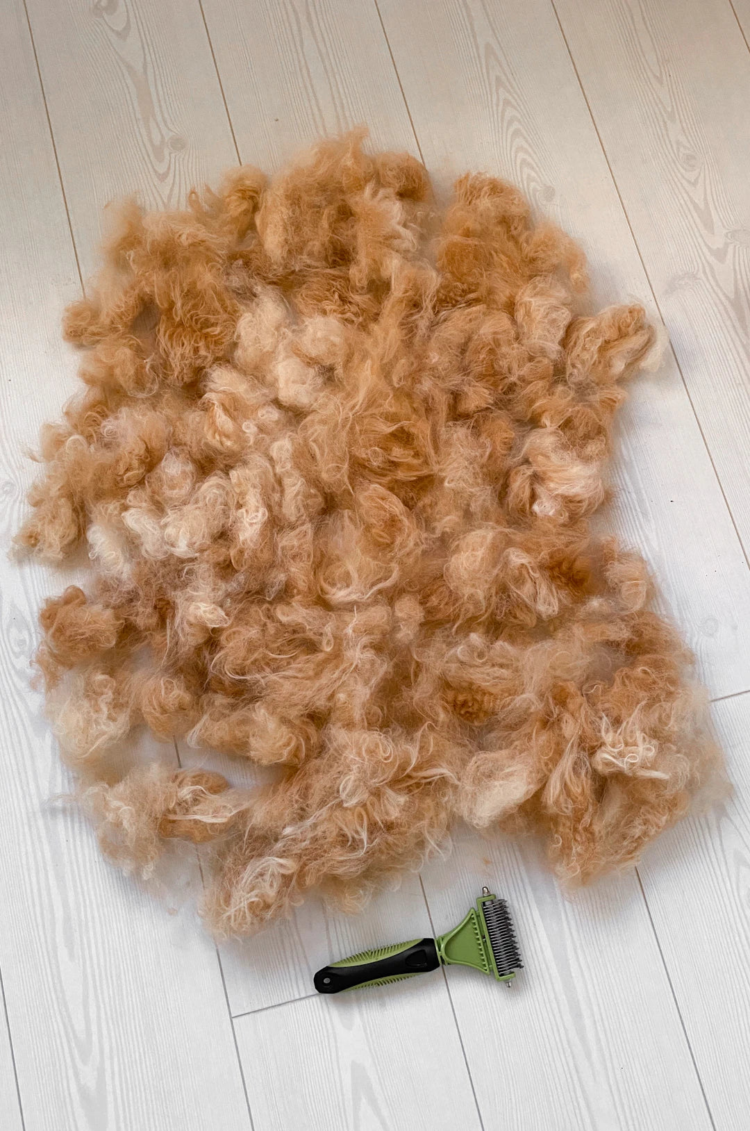 Effective Dyson V15 Brushes for Pet Owners